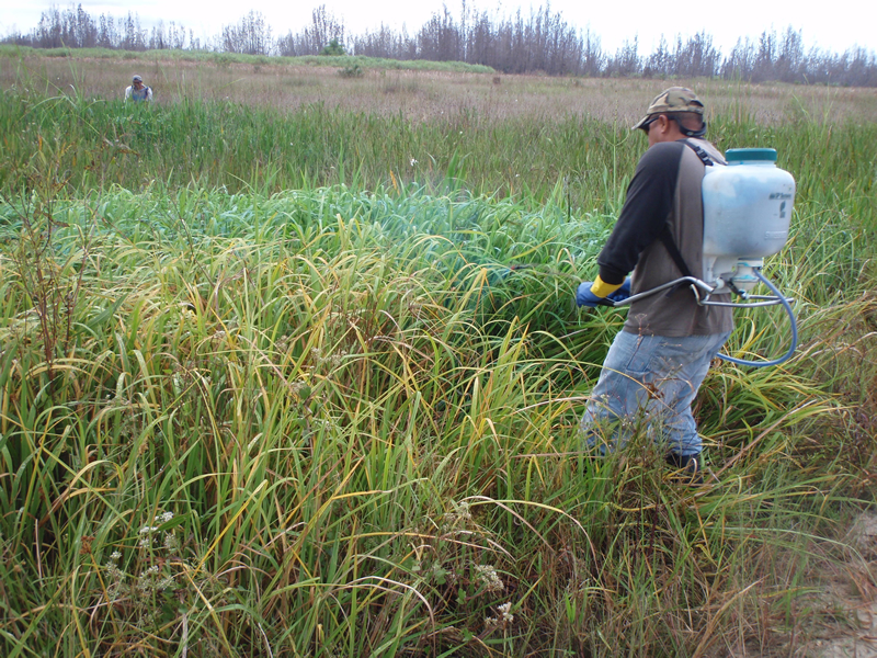 Spraying herbacides